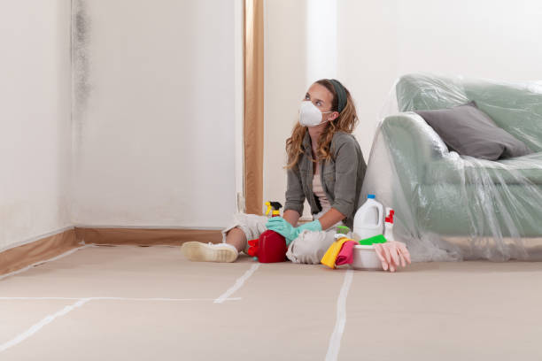 Reliable Mold Remediation contractor in Lake Dallas, TX by 24 Hour Mold Removal